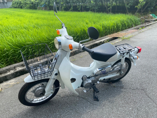 リトルカブ　限定車両　スケルトン