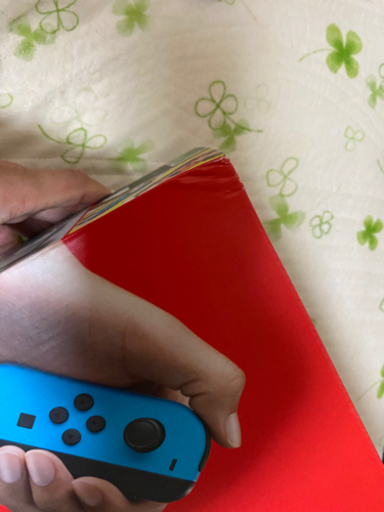 Nintendo  Switch ニンテンドースイッチ　レッド&ブルー　新品