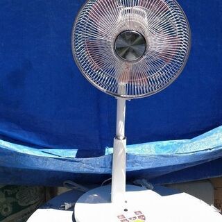 DCモーター 　３０ｃｍリビング扇風機　 ツインブレード羽根