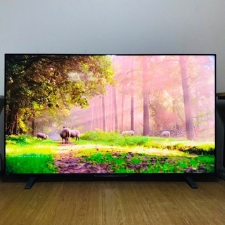 即日受渡❣️半前購入レグザ4K75型テレビHDD3TB録画機能付...