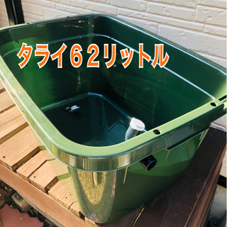 メダカ飼育ケース【タライ６２リットル】