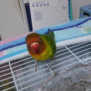 探してください。お願いします。