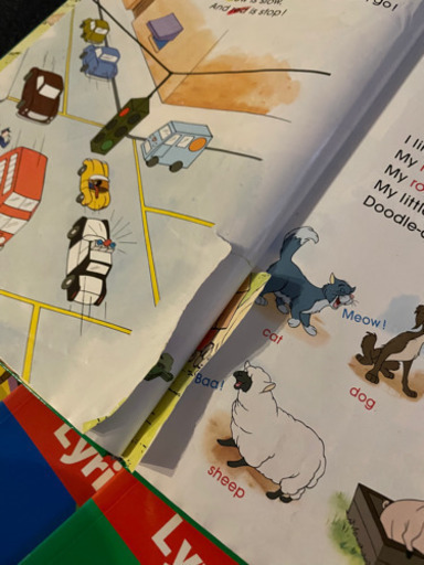 【最終値下げ】DWE  SingAlong