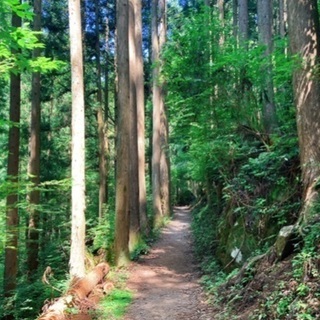 泉州登山仲間募集　8/21（土）氷ノ山登山予定