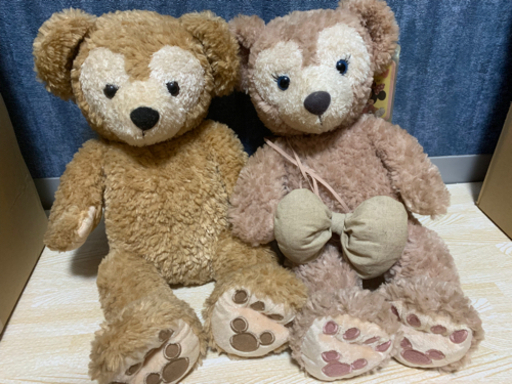 ☆ シェリーメイ Sサイズ タグ付き ぬいぐるみ 発送可能