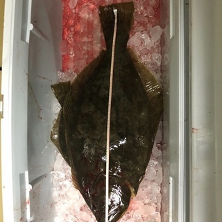 みんなの釣りクラブ − 埼玉県