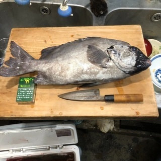 みんなの釣りクラブ - メンバー募集