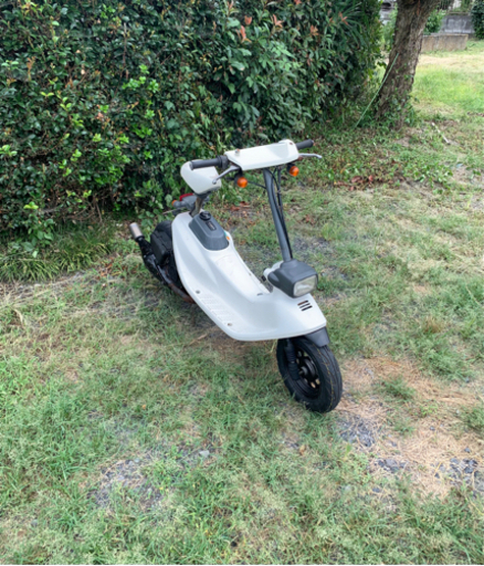 ズーク　ZOOK  原付　バイク　50cc  車体