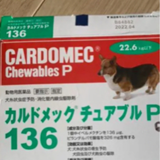 犬　フェラリア