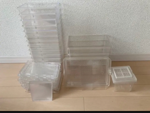 ❗️本日で出品終了致します❗️クワガタ　引退品　❗️他サイトにも掲載中❗️