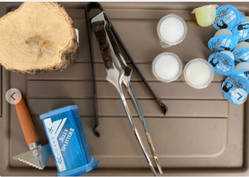 ❗️本日で出品終了致します❗️クワガタ　引退品　❗️他サイトにも掲載中❗️