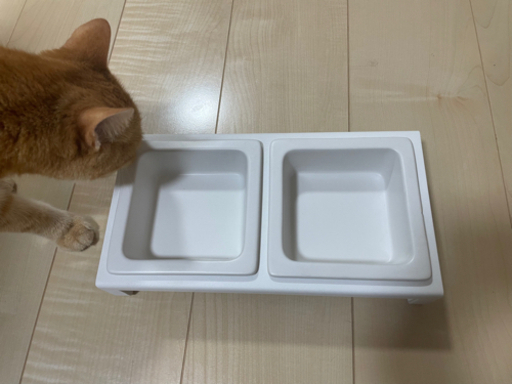 猫　犬　エサ入れ　キャットフード入れ　ドッグフード入れ