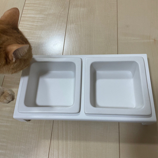 猫　犬　エサ入れ　キャットフード入れ　ドッグフード入れ