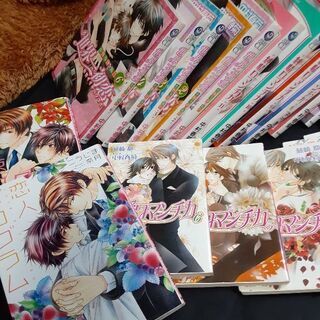 【無料です！】純情ロマンチカ1~11巻 世界一初恋1~6巻 純愛ロマンチカ1~6巻 公式アニメブック その他の画像