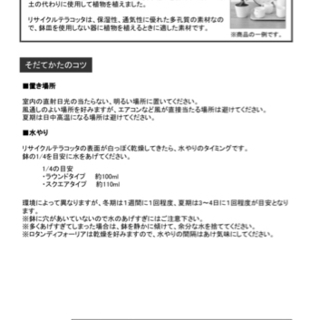 【0円】 無印良品　リサイクルテラコッタに植えた 観葉植物　ガジュマルの画像