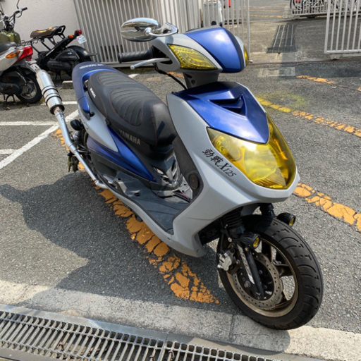 シグナス2型