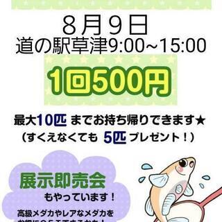めだかすくい