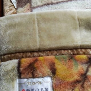 毛布2枚の画像