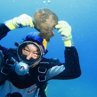 スキューバダイビング ツアー伊豆、三浦 