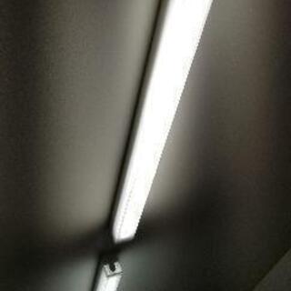 蛍光灯本体と電球