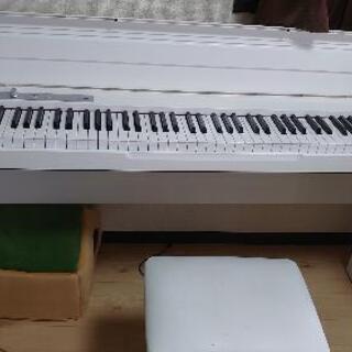 51fAqkrsFjL._UF894,1000_QL80_.jpg