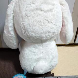 ぽてうさろっぴー海からの贈り物の画像