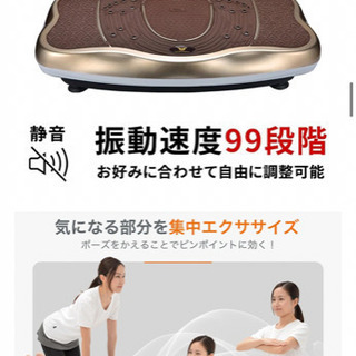 【無料】振動ステッパー　　の画像