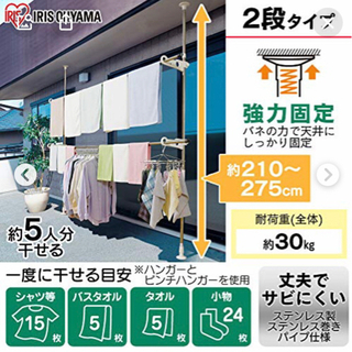 ステンレス ベランダ 物干し ２段 アイリスオーヤマ