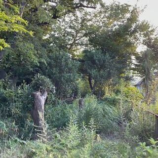 神奈川県横浜市戸塚区舞岡町 ＃58 不動産 0円物件 - 土地販売/土地売買