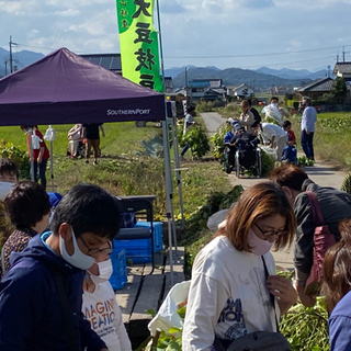 黒豆の農作業、農業体験、販売主婦歓迎、土・日曜日歓迎、副業、夜勤okです！定年後のスキルアップ起業支援の画像