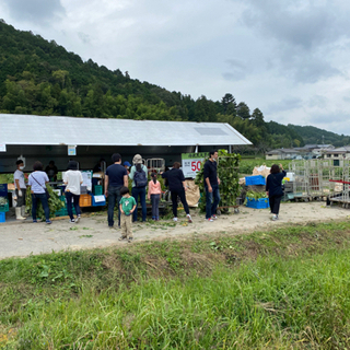 黒豆の農作業、農業体験、販売主婦歓迎、土・日曜日歓迎、副業、夜勤okです！定年後のスキルアップ起業支援の画像