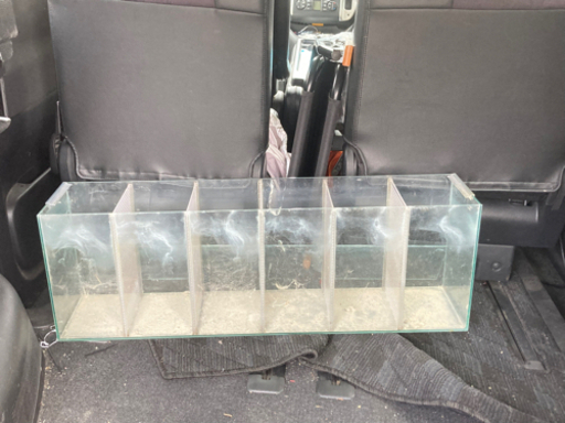 仕切り板付き水槽 ベタ等に