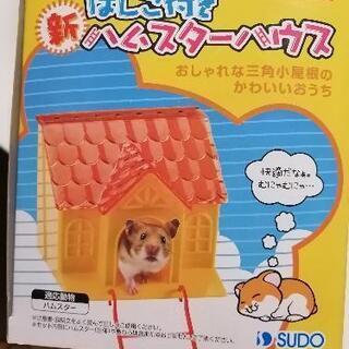 ナンバー2！！ハムちゃんのお家の画像