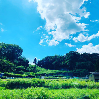 神戸市の学童保育　ケレケレの秘密基地の集客・指導員の募集！