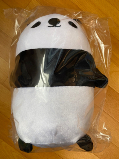 テイコウペンギン限定〜YouTube100万登録〜