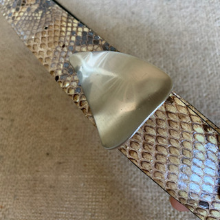 無料　水色の本革バック　蛇皮のベルト　中古　難ありの画像