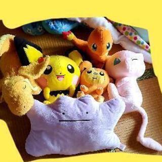 ポケモン、、