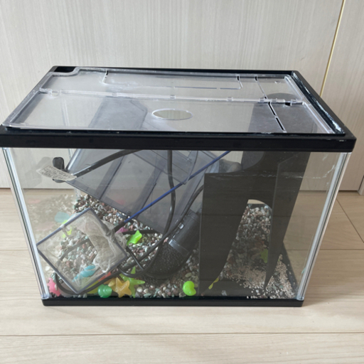 水槽セット