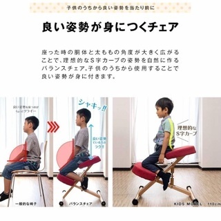 バランスチェアの画像