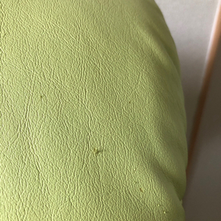【最終値下】2人掛けソファ　ライムグリーンの画像