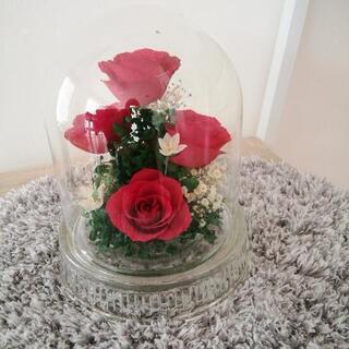 レンデフロール　ドライフラワー②の画像