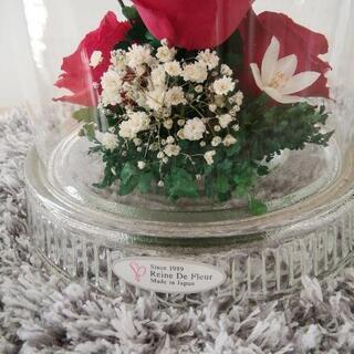 レンデフロール　ドライフラワー②の画像