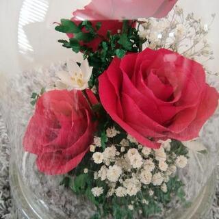 レンデフロール　ドライフラワー②の画像