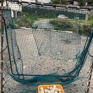 野球⚾️ソフトボール