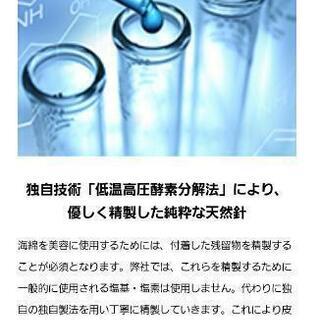 【8月取引限定、正規品】V3ファンデーション(正規販売店サロンで購入)の画像