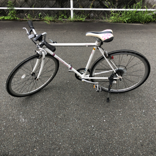 【超都会仕様】ミヤタ旧型フリーダム　変更部分多数（早い物勝ち）