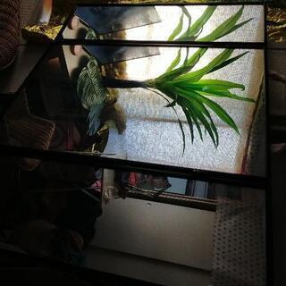 【本日 究極値下げ❗】【美品！!人気完売品‼️希少激レア‼️】‼️超大きな三面鏡‼️豪華スペイン風飾りフレーム付【ネット決済不可】の画像