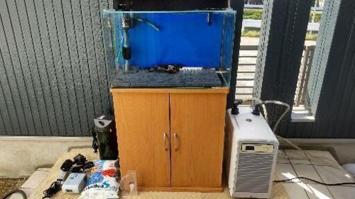 海水魚飼育セット【水槽６０㎝ 】【クーラー】他多数