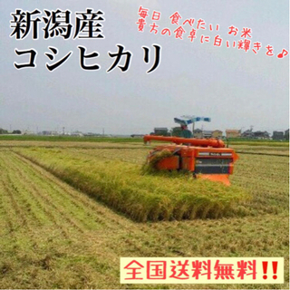 【数量限定】2キロ新潟県産コシヒカリ 精米