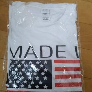 早い者勝ち！海外限定 フィットネス Printed Tee USAの画像